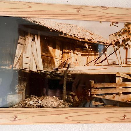 Ciasa Agb Apartment Moena Bagian luar foto